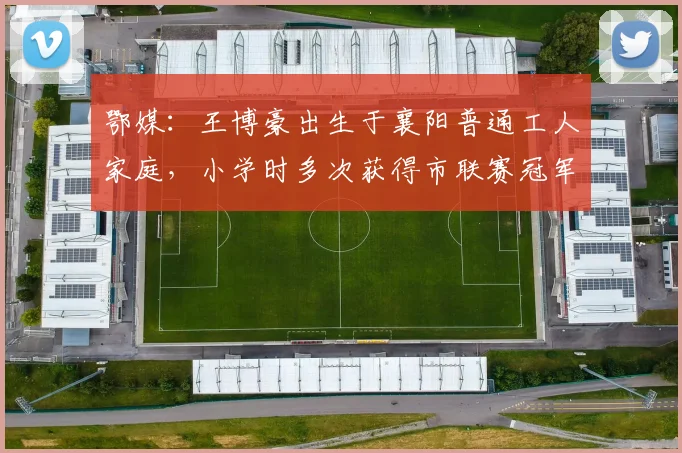 鄂媒：王博豪出生于襄阳普通工人家庭，小学时多次获得市联赛冠军